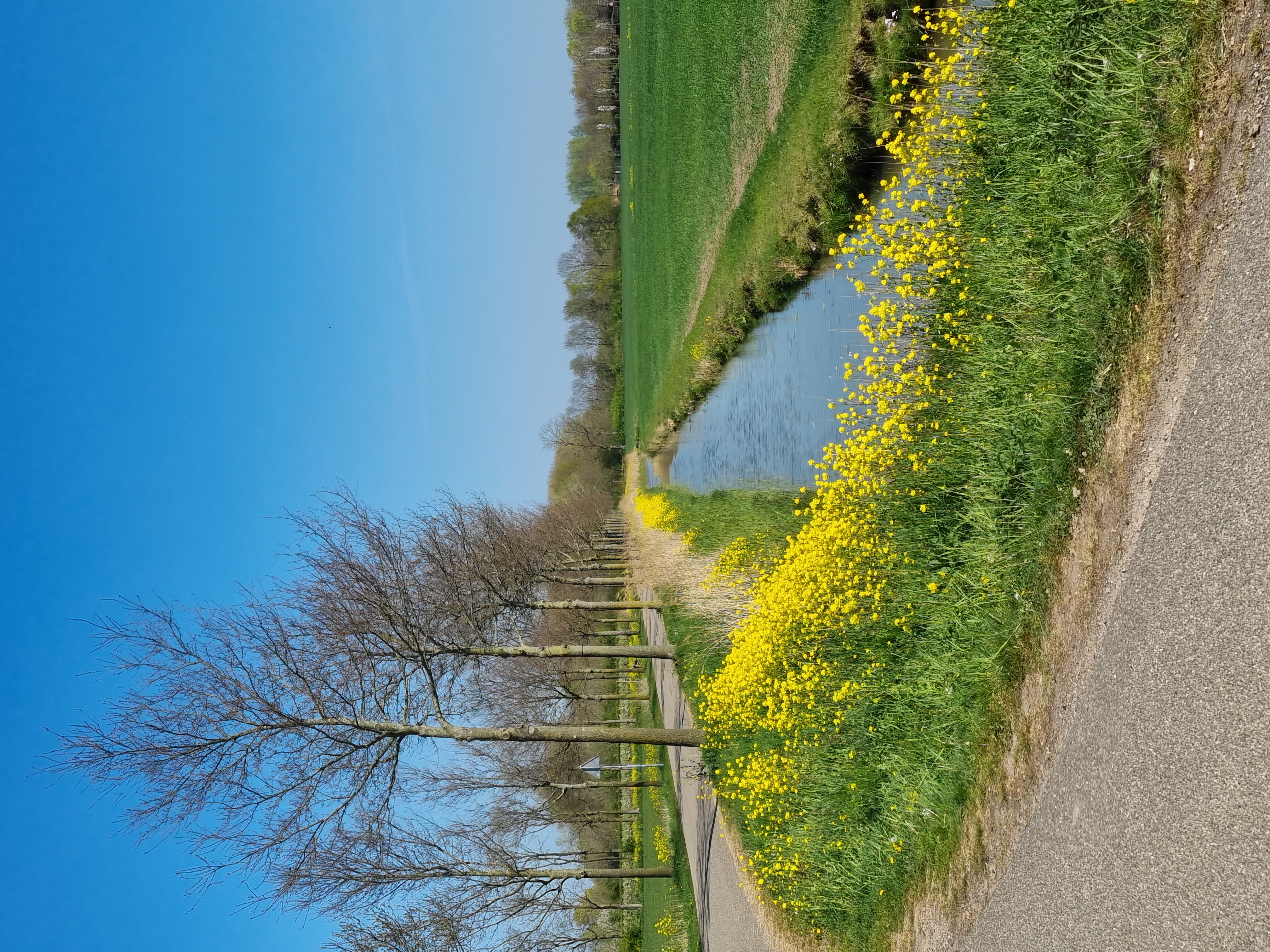Culemborg 3